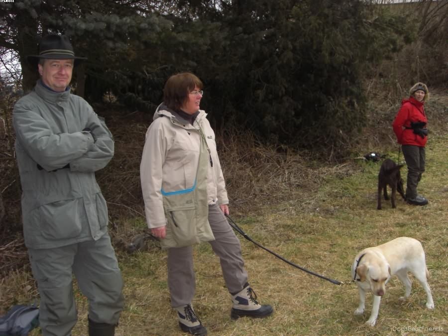 Img 1233511943 596 lg opt