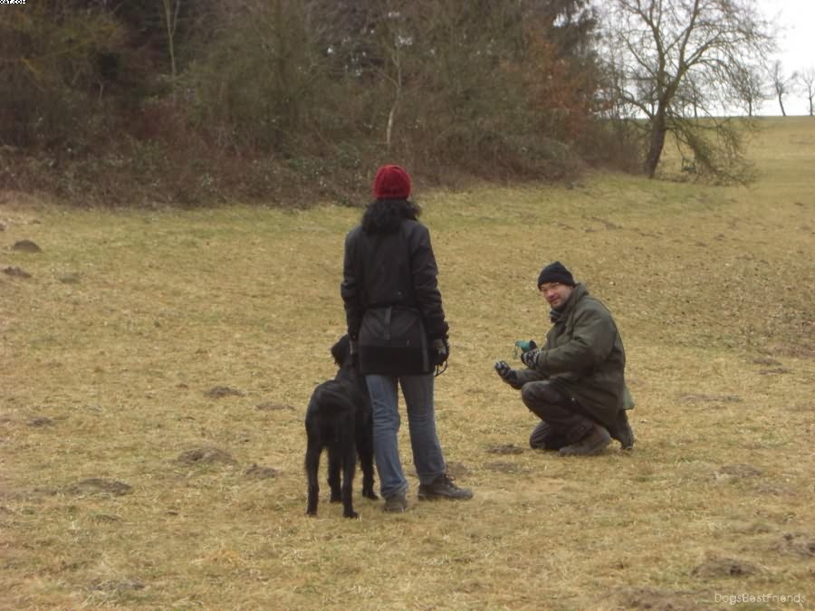 Img 1233512000 22 lg opt