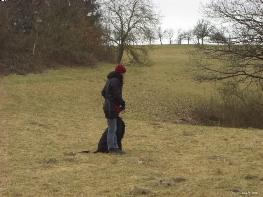 Img 1233512062 472 lg opt