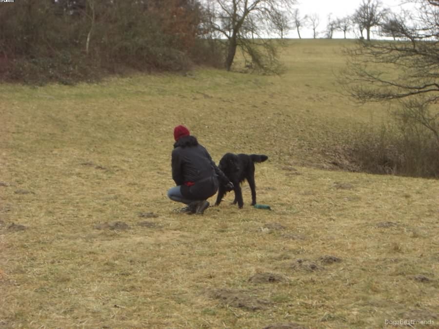 Img 1233512116 275 lg opt