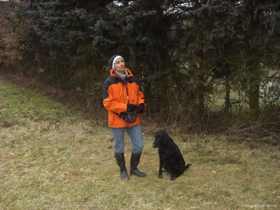 Img 1233512231 299 lg opt