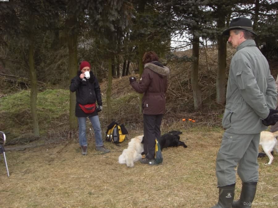 Img 1233512355 247 lg opt