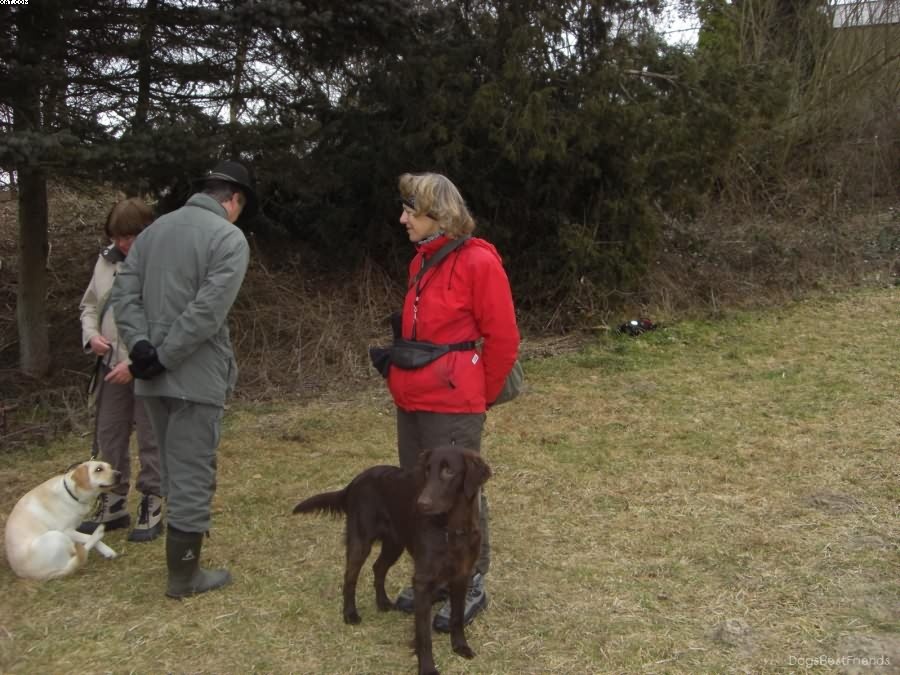 Img 1233512414 948 lg opt