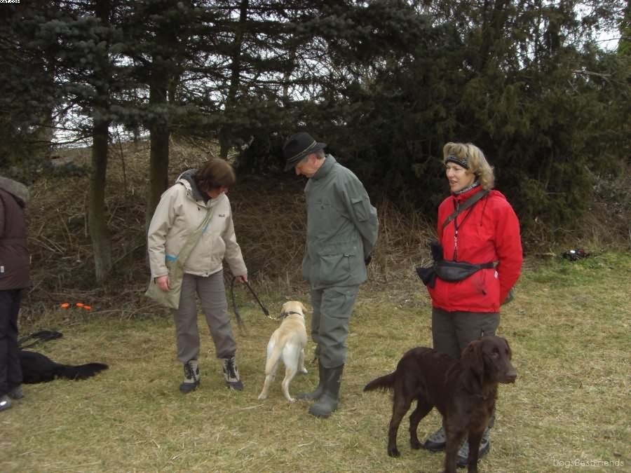 Img 1233512474 435 lg opt