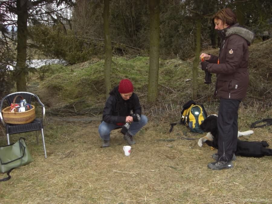 Img 1233512541 847 lg opt