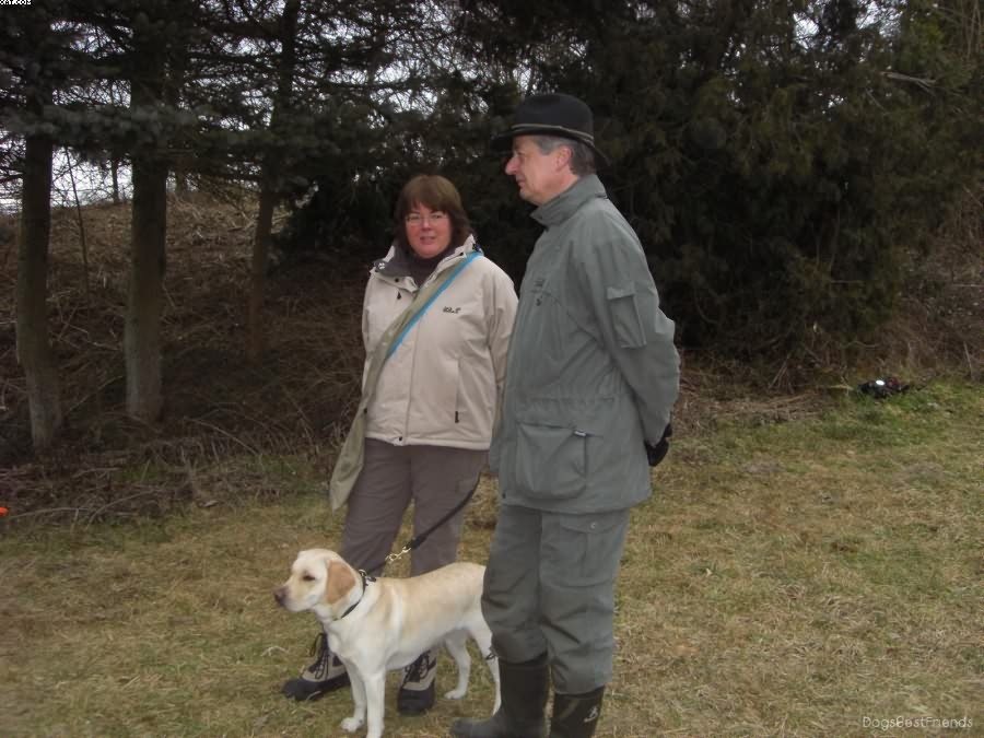 Img 1233512668 597 lg opt