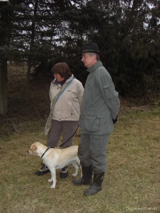 Img 1233512722 347 lg opt