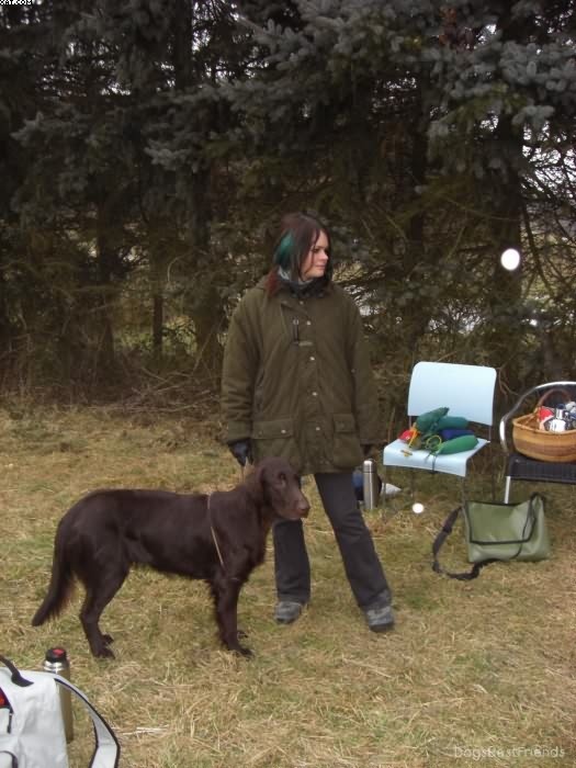 Img 1233512777 246 lg opt