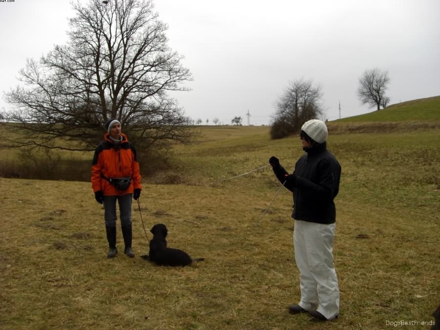 Img 1233512831 77 lg opt