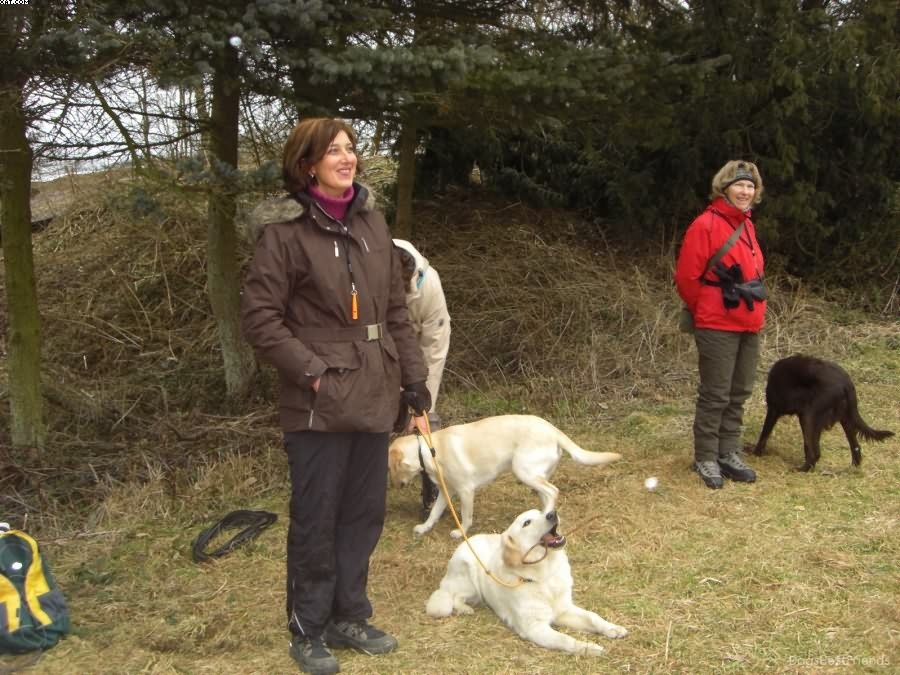 Img 1233512898 30 lg opt