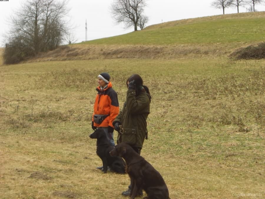 Img 1233512958 60 lg opt