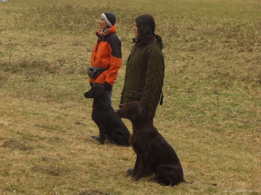 Img 1233513018 920 lg opt