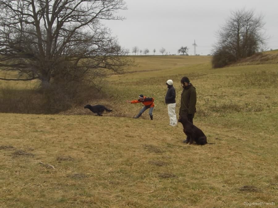 Img 1233513077 324 lg opt