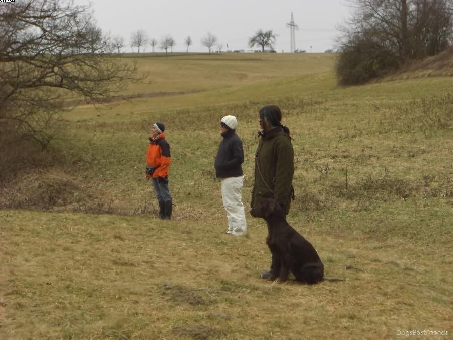 Img 1233513130 703 lg opt