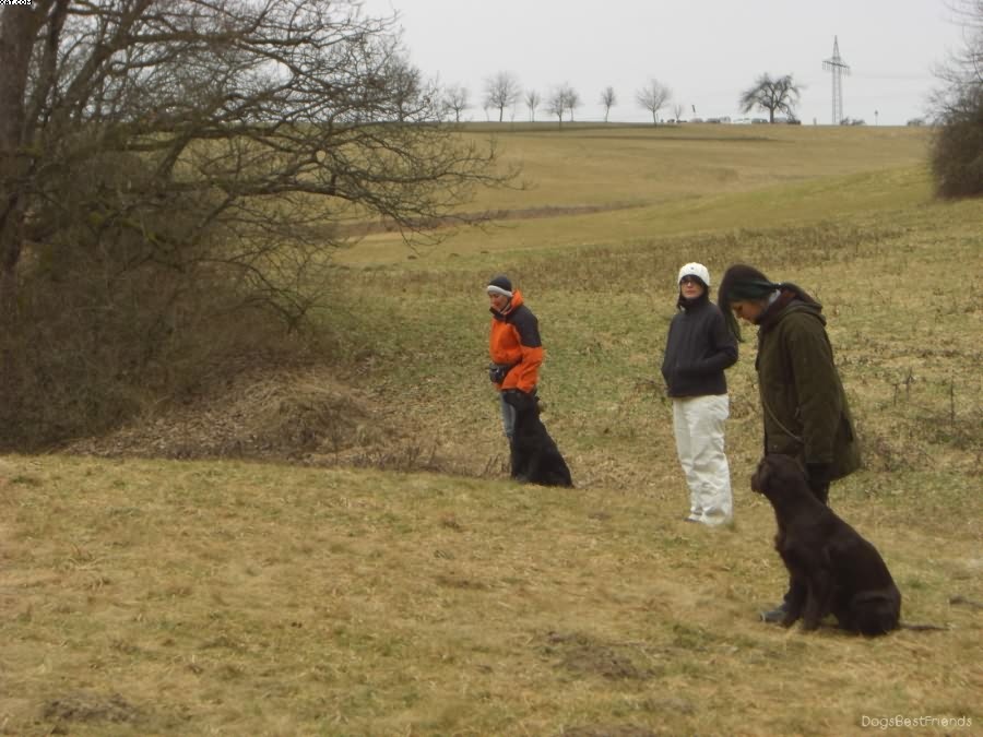 Img 1233513185 713 lg opt