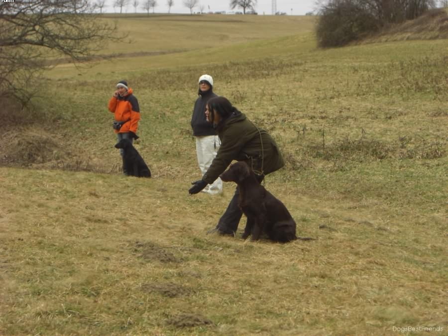 Img 1233513240 682 lg opt