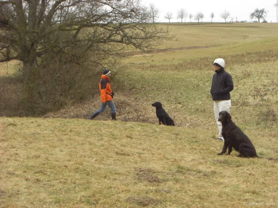 Img 1233513303 681 lg opt