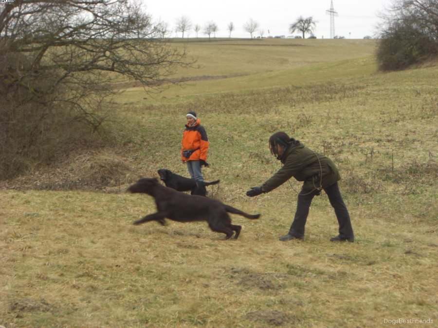 Img 1233513354 86 lg opt