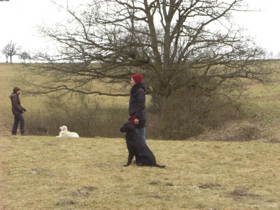 Img 1233513584 478 lg opt