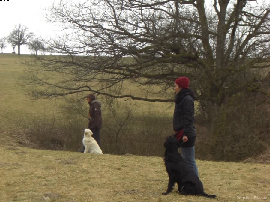 Img 1233513632 94 lg opt