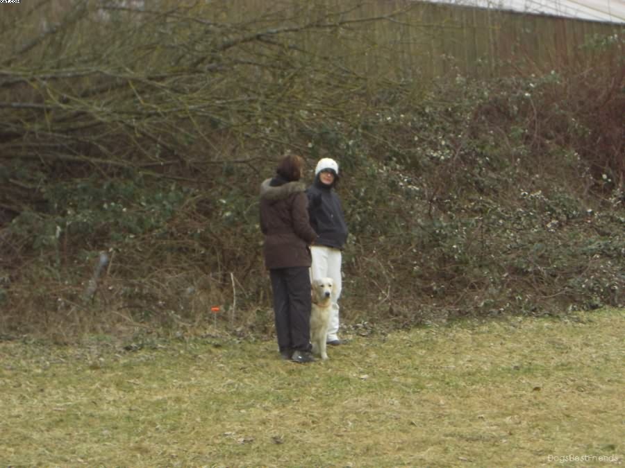 Img 1233513735 132 lg opt