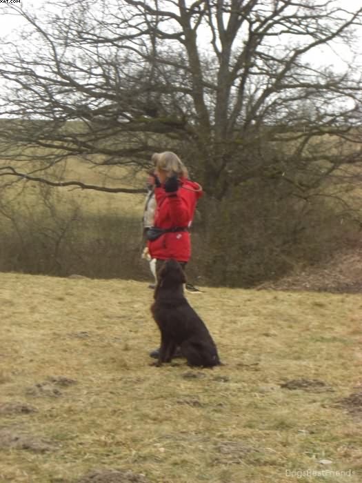 Img 1233513878 95 lg opt