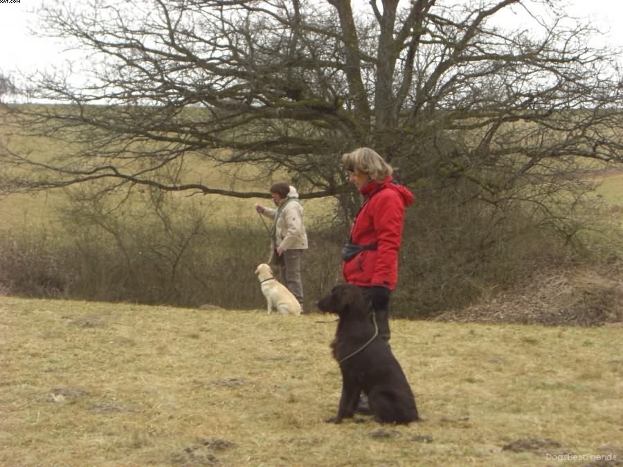 Img 1233513932 415 lg opt