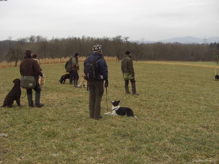 Img 1233514037 883 lg opt