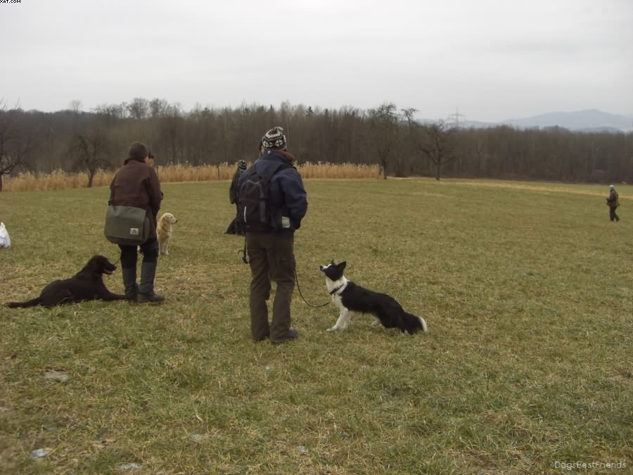 Img 1233514088 293 lg opt