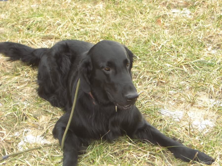 Img 1233514146 16 lg opt