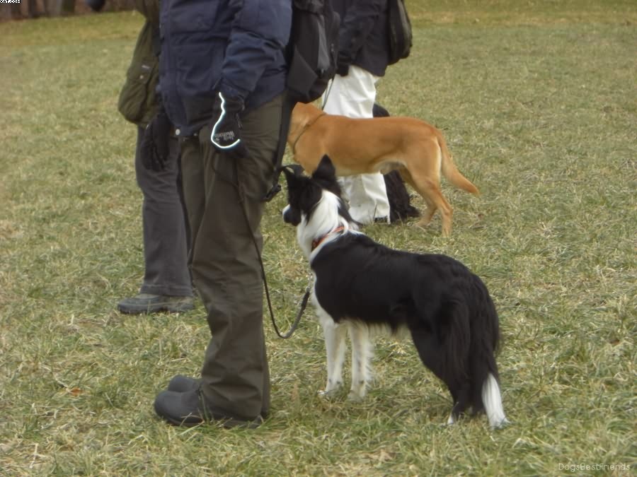 Img 1233514194 451 lg opt