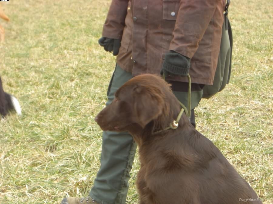 Img 1233514243 69 lg opt