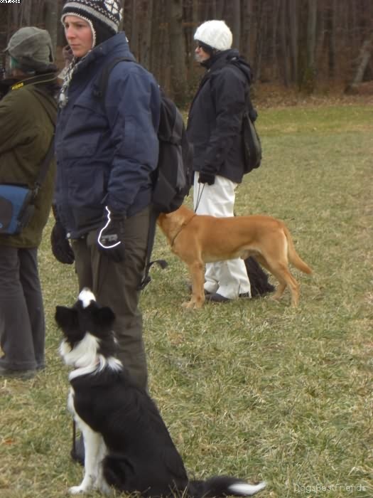 Img 1233514288 435 lg opt