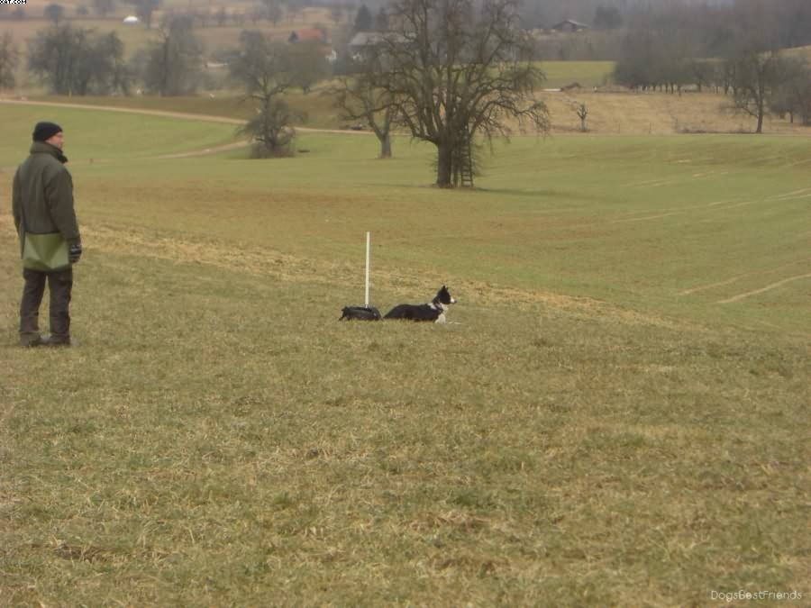 Img 1233514337 724 lg opt