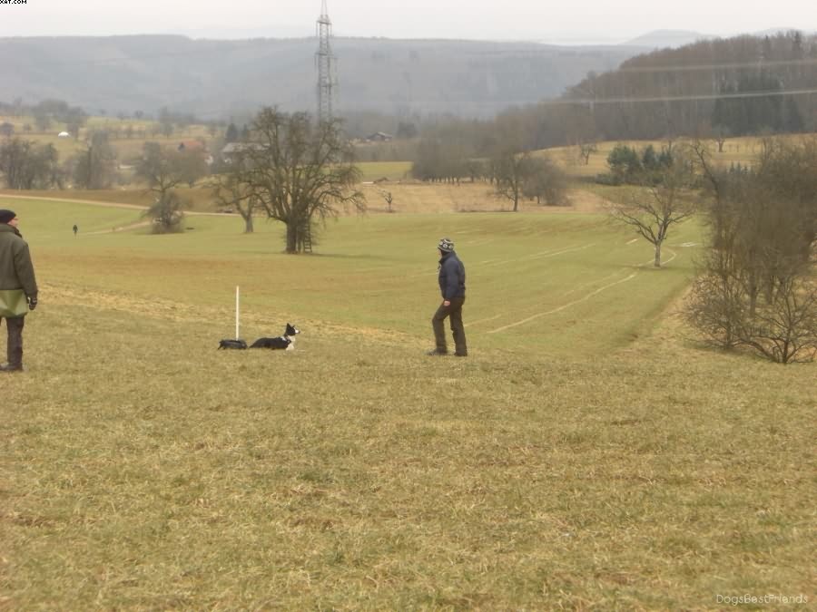 Img 1233514387 838 lg opt