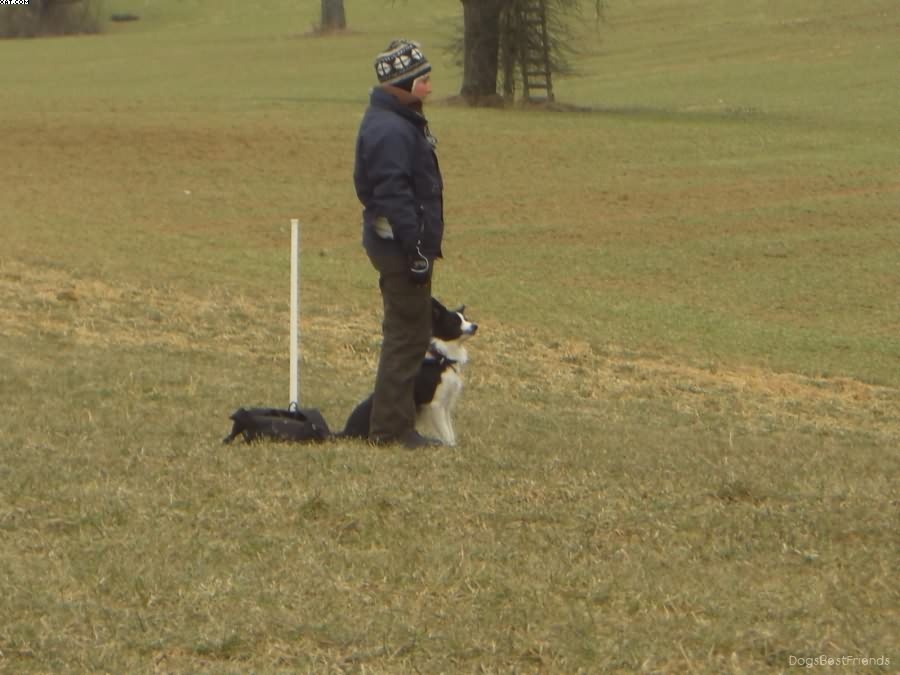 Img 1233514429 81 lg opt