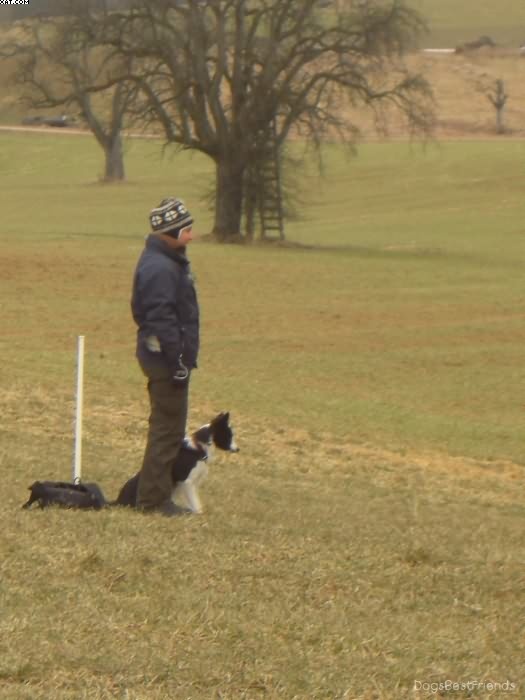 Img 1233514466 675 lg opt