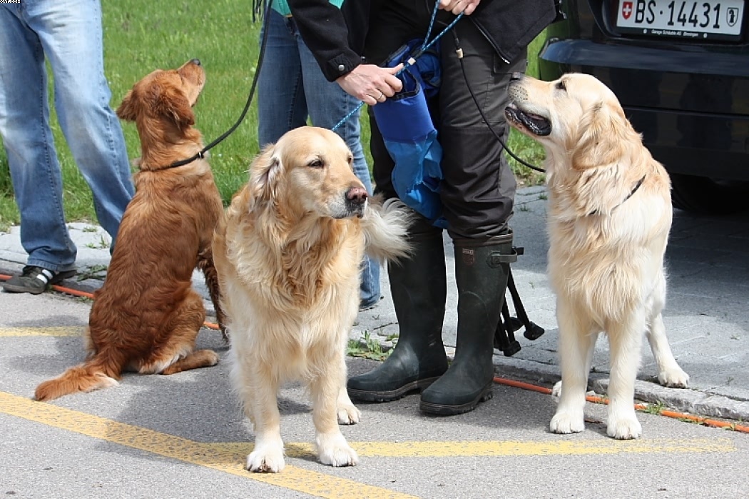 Img 1242901693 90 lg opt