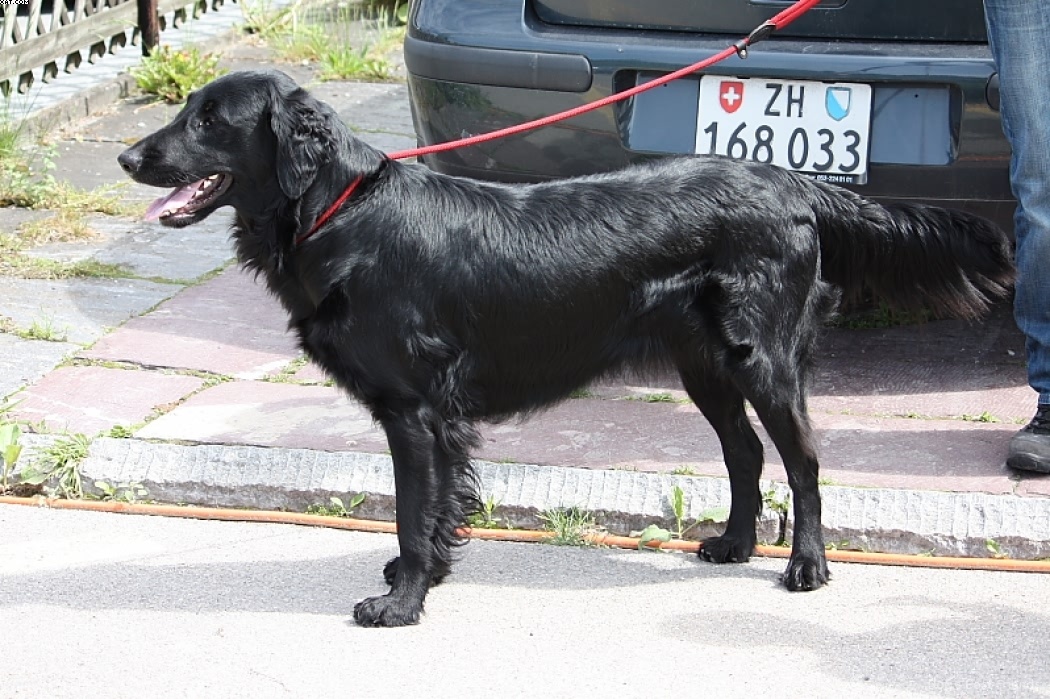 Img 1242901755 665 lg opt