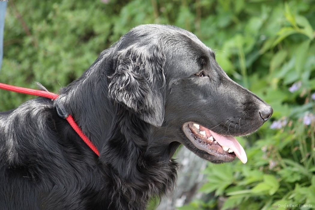 Img 1242901789 875 lg opt