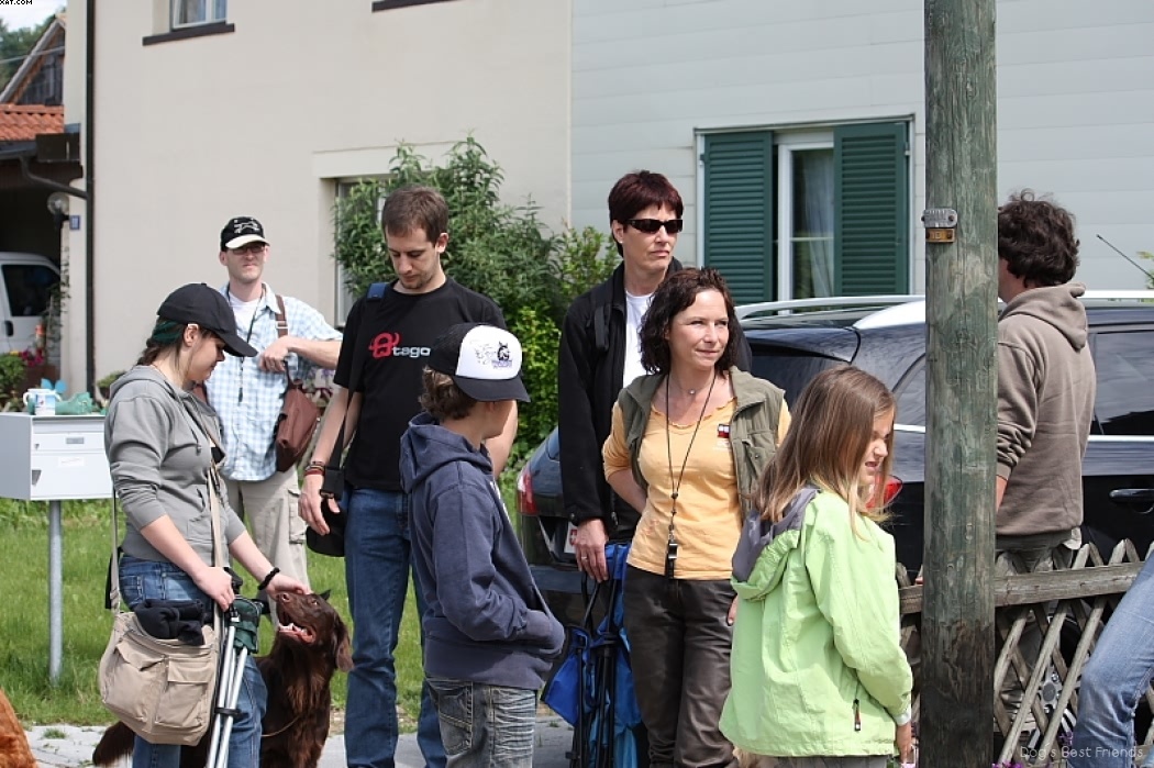 Img 1242901822 685 lg opt