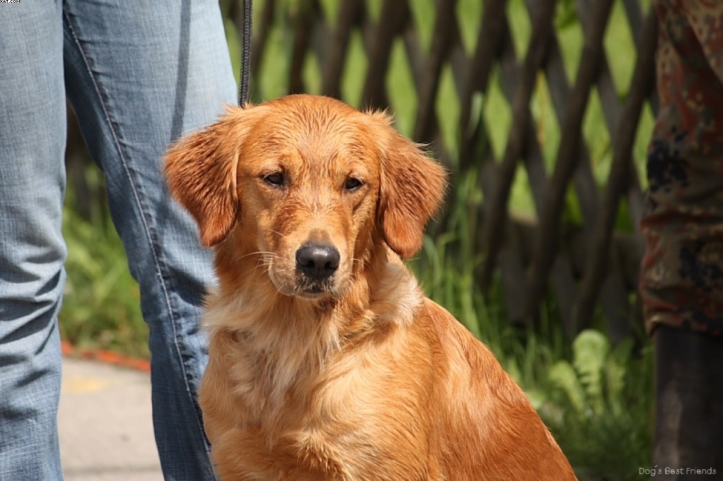 Img 1242901891 251 lg opt