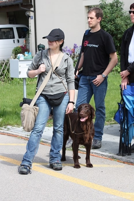 Img 1242901961 664 lg opt