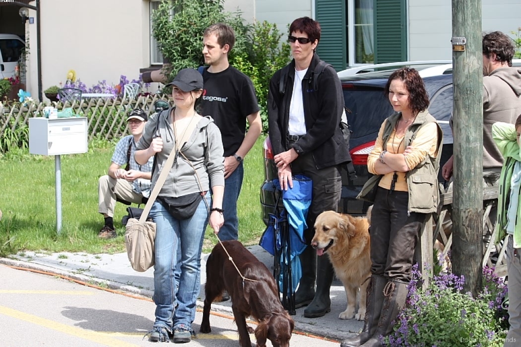 Img 1242901999 463 lg opt