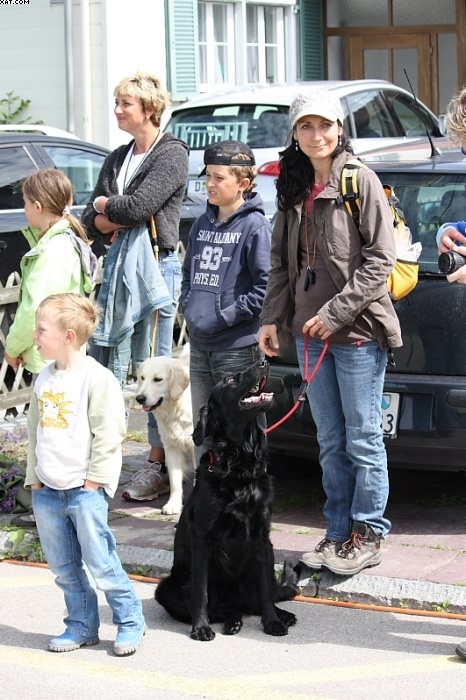 Img 1242902067 224 lg opt