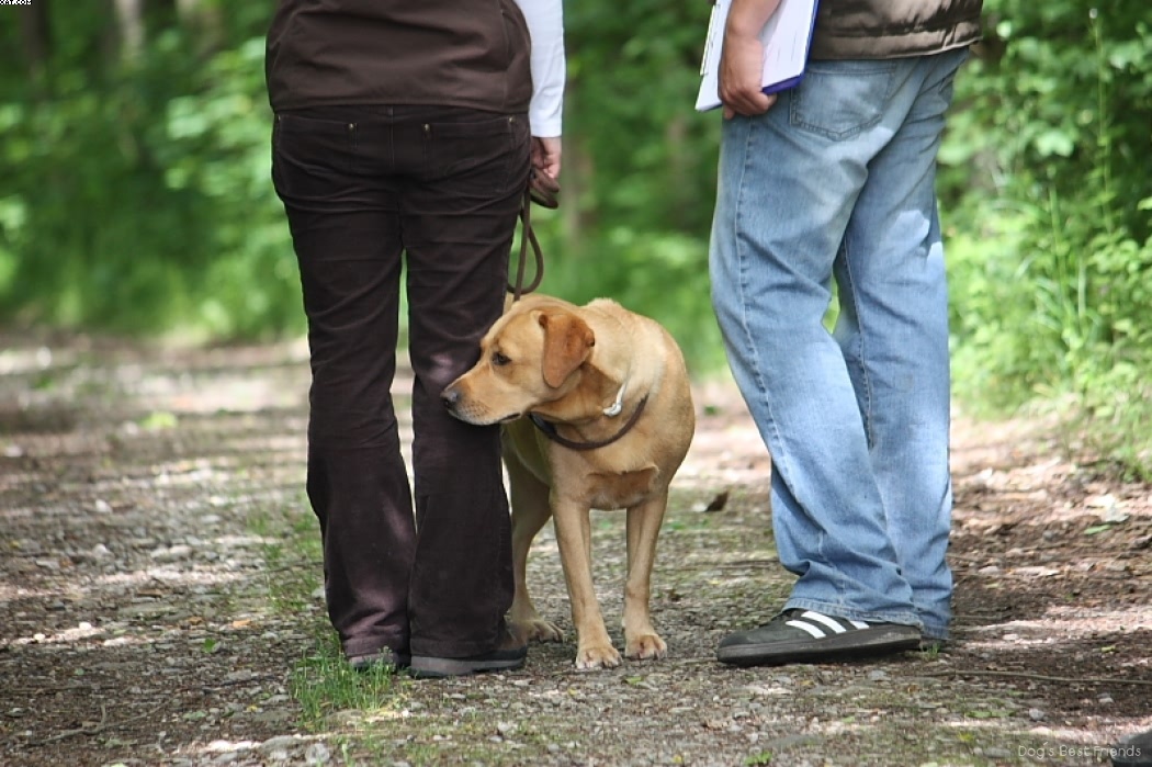 Img 1242902217 957 lg opt