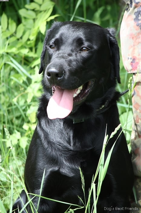 Img 1242902249 239 lg opt