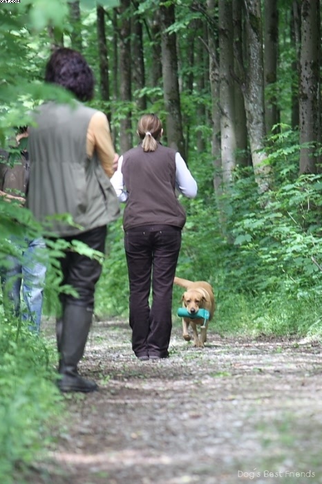 Img 1242902281 391 lg opt