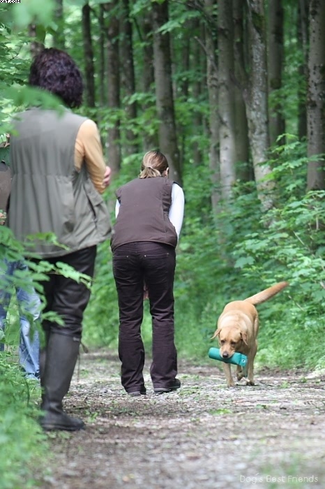 Img 1242902314 830 lg opt