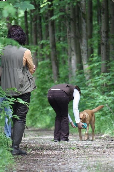 Img 1242902346 698 lg opt